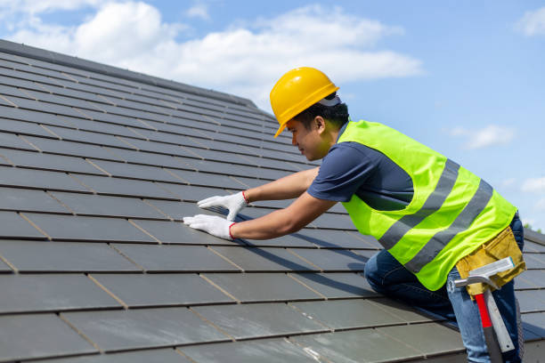 Roof Gutter Cleaning in St Clair, MO